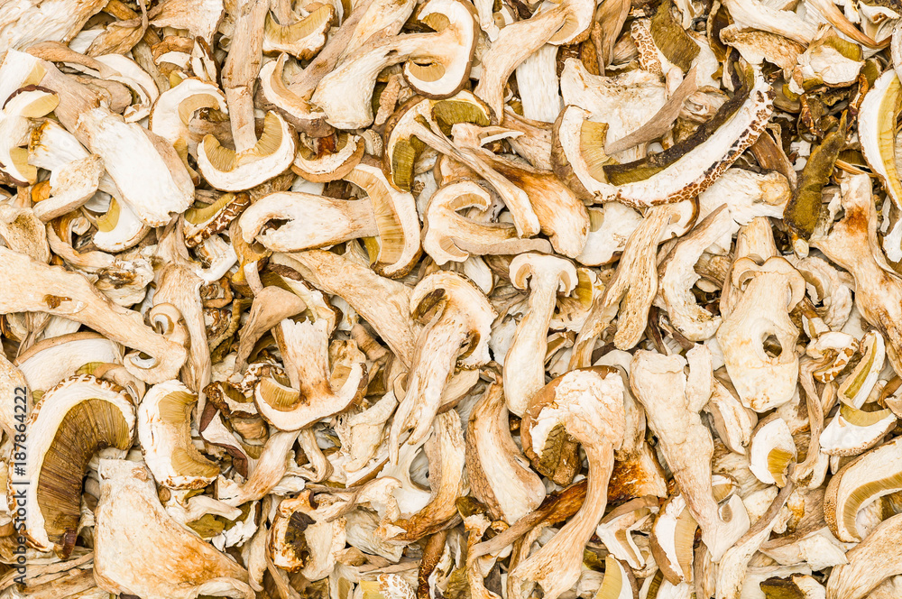 Dried Mushrooms Dried Mushrooms