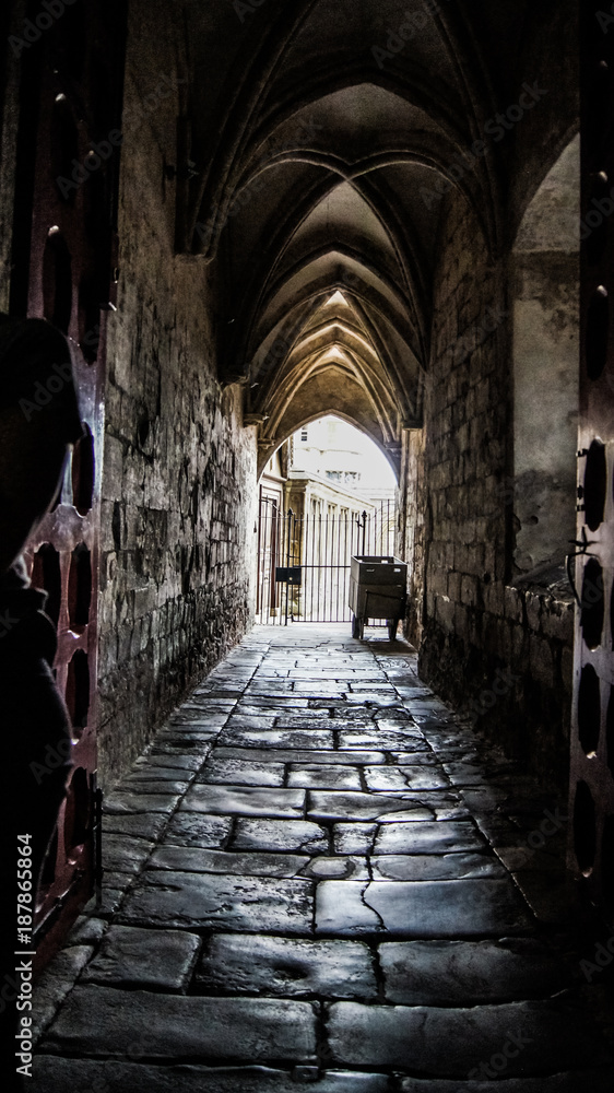 Fototapeta premium Chamber of Secrets