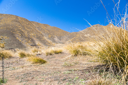 Fototapeta Naklejka Na Ścianę i Meble -  New Zealand