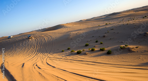 Safari tour through desert © Robert Hoetink