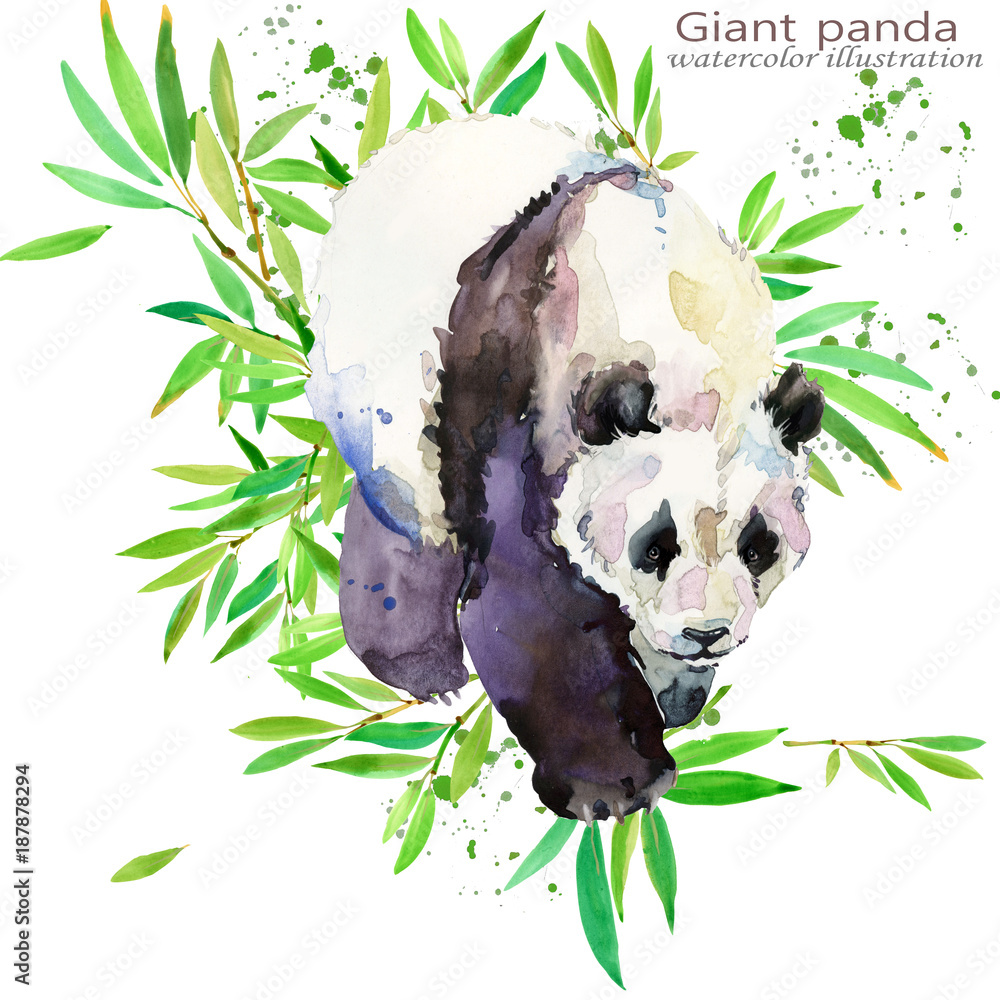 wild Panda hand draw watercolor illustration