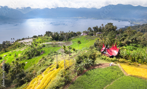   Rice field parts divided to plots by water channels and pathways,aerial shot, West Sumatra,Maninjau lake area,Indonesia photo