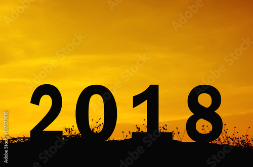 2018 with grass silhouettes background and sun set