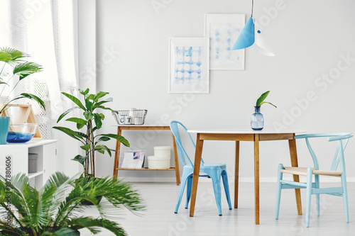 Blue dining room with plants