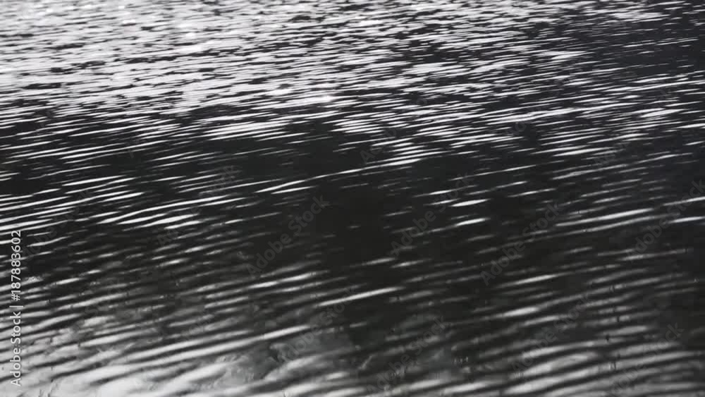 Water surface Water surface