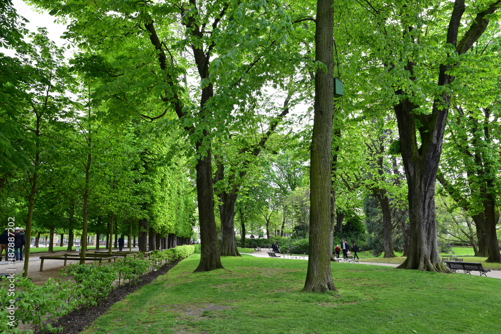 Allées du jardin du Luxembourg au printemps à Paris, France Allées du jardin du Luxembourg au printemps à Paris, France