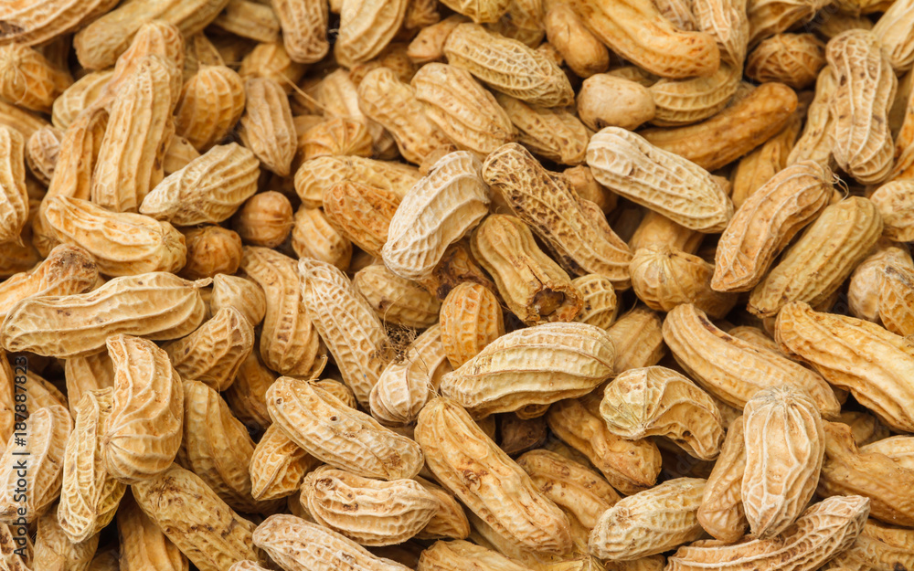 Peanuts in shell texture background. Raw peanuts on from farmer. Peanuts in shell texture background. Raw peanuts on from farmer.