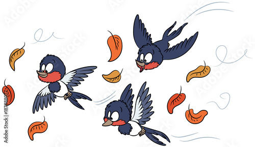 Drei niedliche Schwalben - Vektor-Illustration