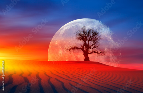 Global warming concept. Lone dead tree against super moon at sunset "Elements of this image furnished by NASA "