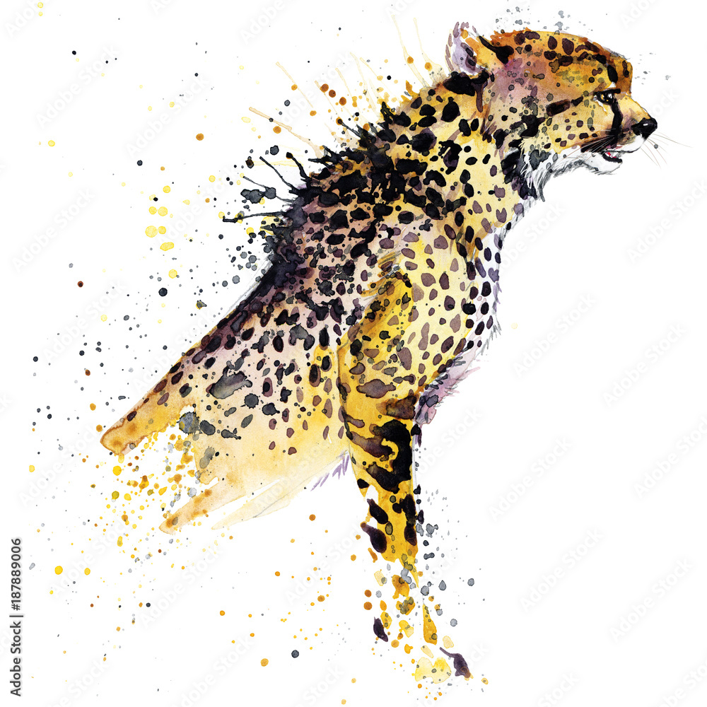cheetah watercolor illustration Stock Illustration Adobe Stock