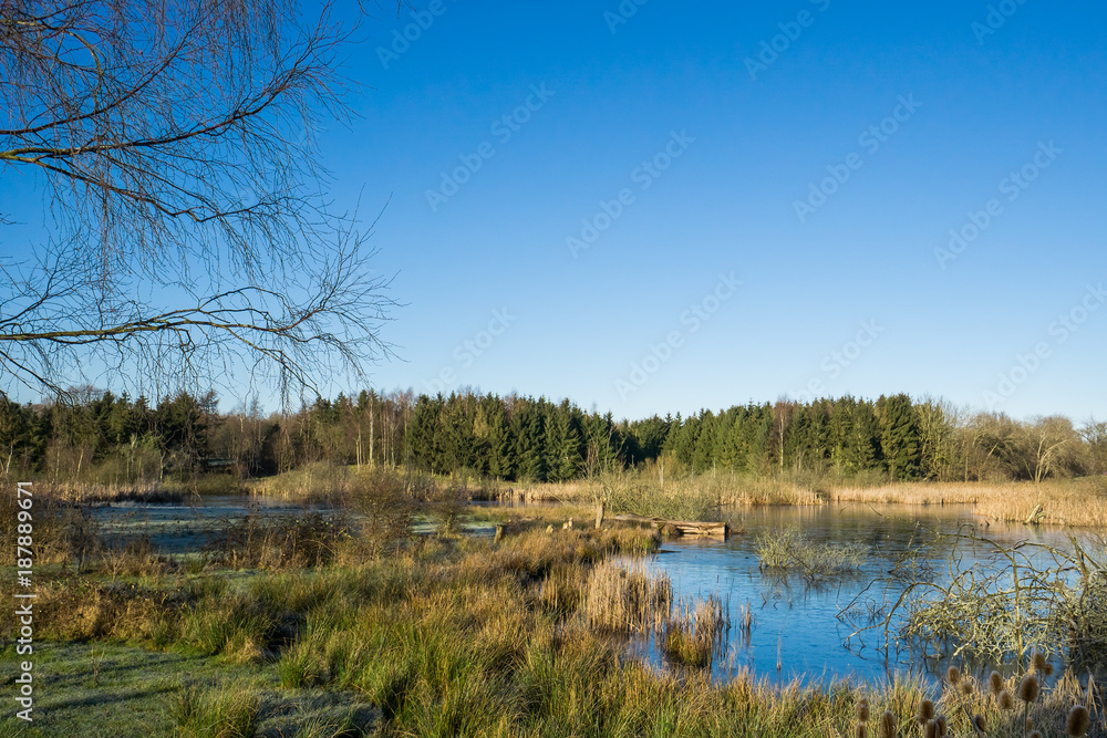 View over a meadow and a small lake with clear blue sky