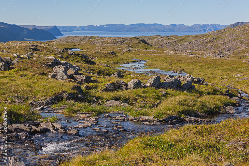 River flowing through tundra landscape with background of fjord of Barents sea, short summer in Finnmark, Norway. Northernmost part of continental Europe