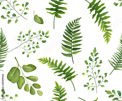 Seamless greenery green leaves botanical, rustic pattern Vector floral watercolor style design: forest fern frond leaf, herbs. Nature Wallpaper, natural texture, trendy print isolated white background