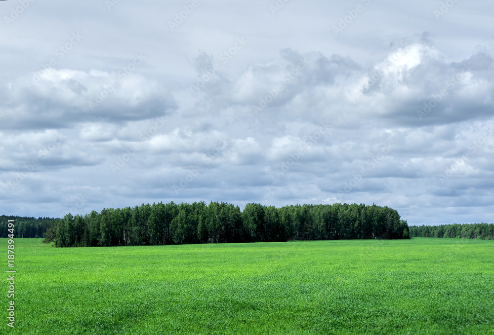 Obraz premium Пейзаж