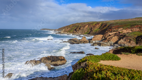 Bodega Head