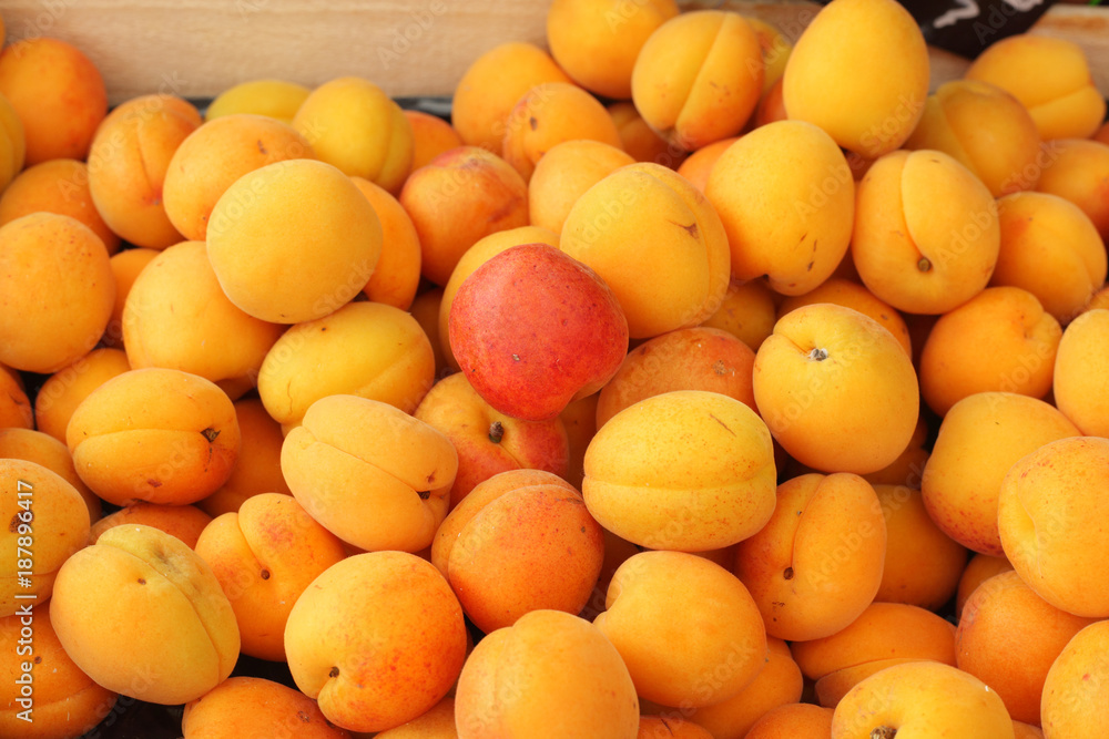 Apricots in the market