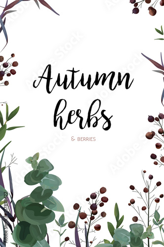 Vector floral watercolor style card design: Eucalyptus seeded greenery, thyme leaves red berry natural frame, border. Vector invite, poster, banner, postcard delicate beautiful lovely ,cute copy space