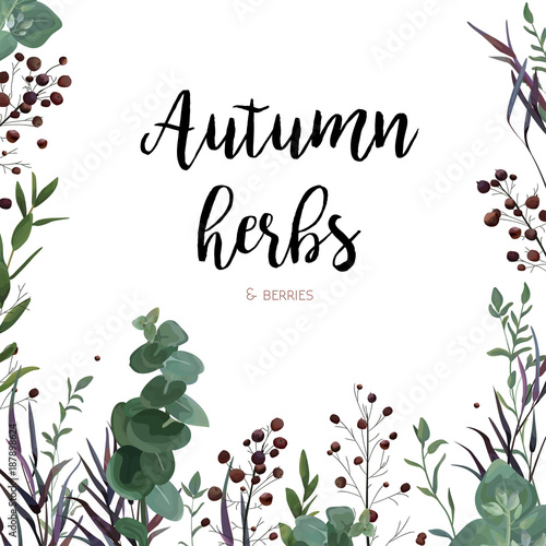 Vector floral watercolor style card design: Eucalyptus seeded greenery, agonis purple branch, thyme leaves, red berry natural frame, border. Vector invite, poster, banner, postcard delicate copy space