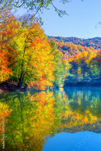 Fototapeta Naklejka Na Ścianę i Meble -  Autumn landscape in (seven lakes) Yedigoller Park Bolu, Turkey