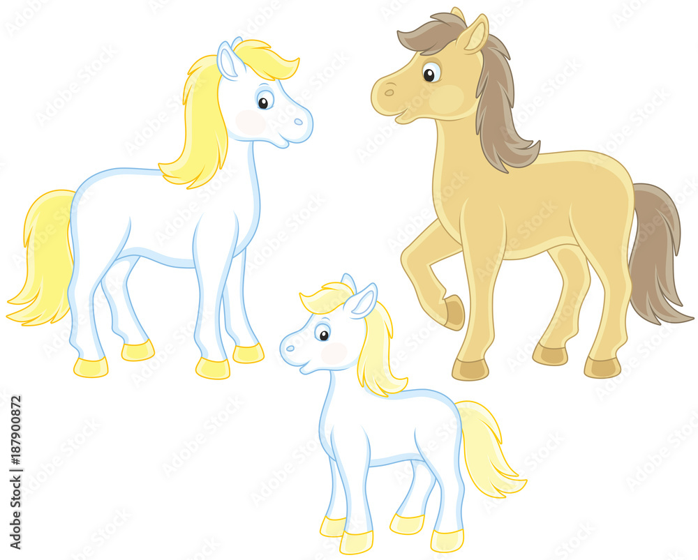 A family of a white horse, a little foal and a courser, vector illustrations in funny cartoon style A family of a white horse, a little foal and a courser, vector illustrations in funny cartoon style