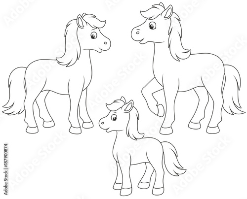 A family of a horse, a little foal and a courser, black and white vector illustrations in funny cartoon style for a coloring book