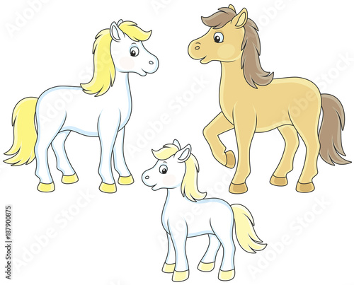 A family of a white horse  a little foal and a courser  vector illustrations in funny cartoon style