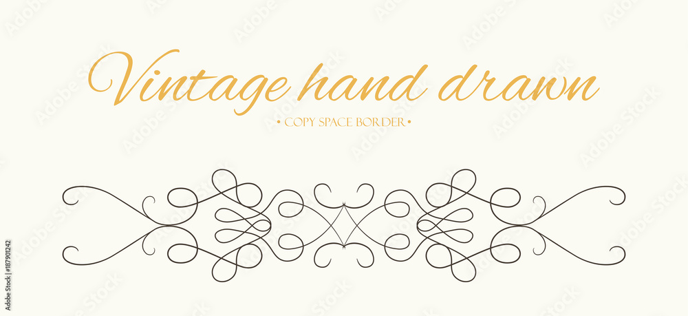 Vector hand drawn flourishes, text divider graphic design element. Designer vintage border. Wedding invitation card page decoration. Calligraphy elegant decorative swirls, ornate boho black line motif Vector hand drawn flourishes, text divider graphic design element. Designer vintage border. Wedding invitation card page decoration. Calligraphy elegant decorative swirls, ornate boho black line motif