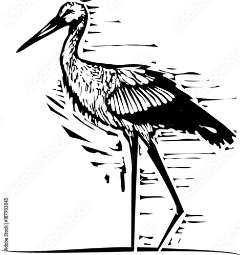 Woodcut wading Stork