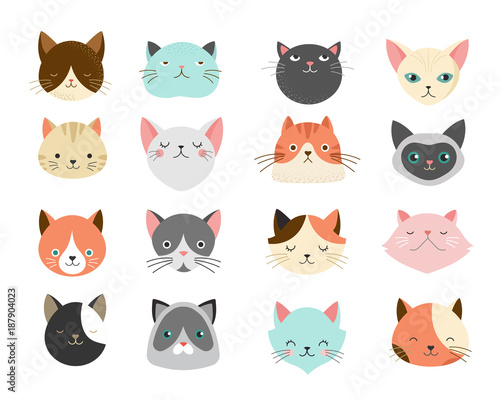 Collection of cats illustrations