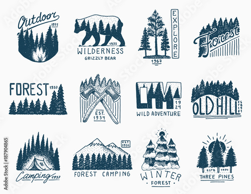 coniferous forest, mountains and wooden logo. camping and wild nature. landscapes with pine trees and hills. emblem or badge, tent tourist, travel for labels. engraved hand drawn in old vintage sketch