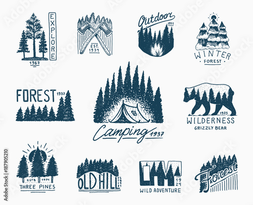 camping badges, mountains coniferous forest and wooden logo. engraved hand drawn in old vintage sketch. emblem tent tourist, travel for labels. wild nature. landscapes with pine trees and hills.