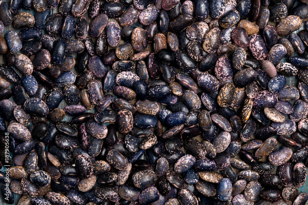 Big Purple bean grain, bean pod, a lot of beans texture pattern background for web design and sale Big Purple bean grain, bean pod, a lot of beans texture pattern background for web design and sale