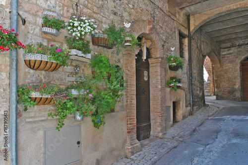 Spello, le strade e le case del villaggio - Umbria photo