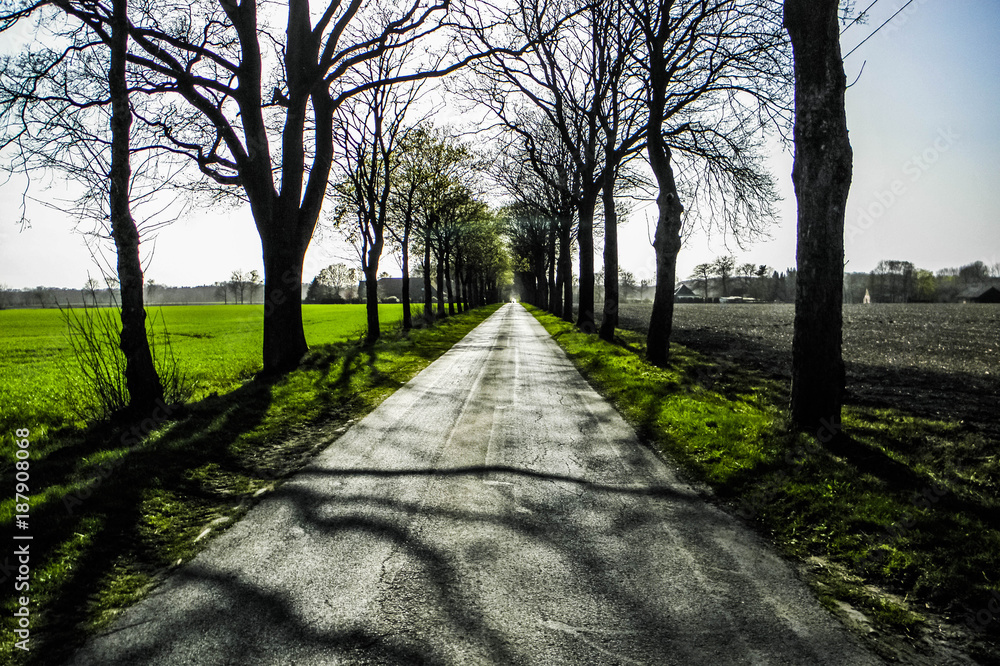 Obraz premium German Countryside