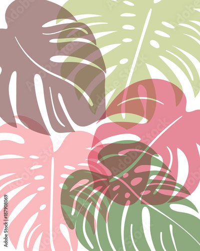 Pattern with tropical monstera leaves.