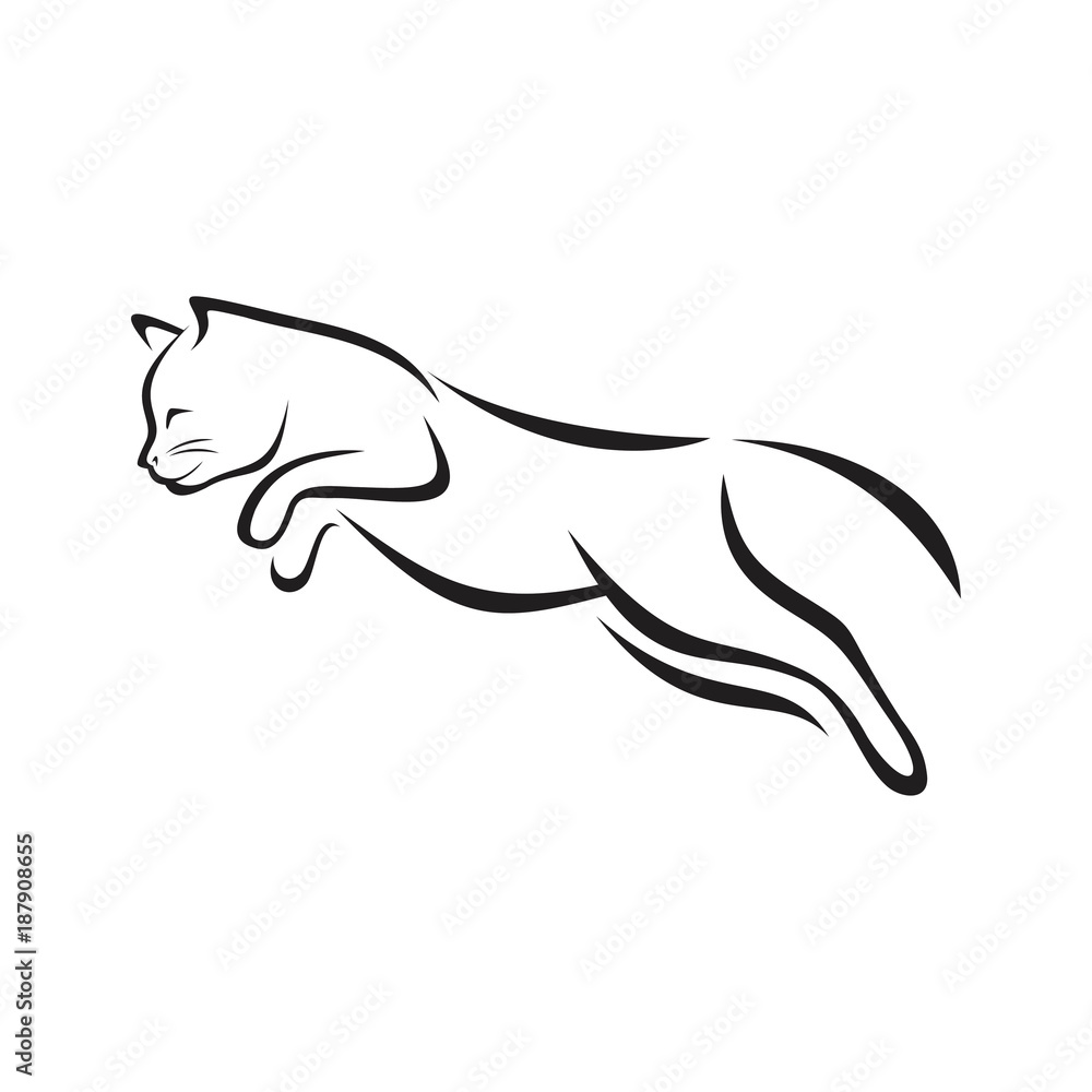 Cat Jumping Cat Jumping