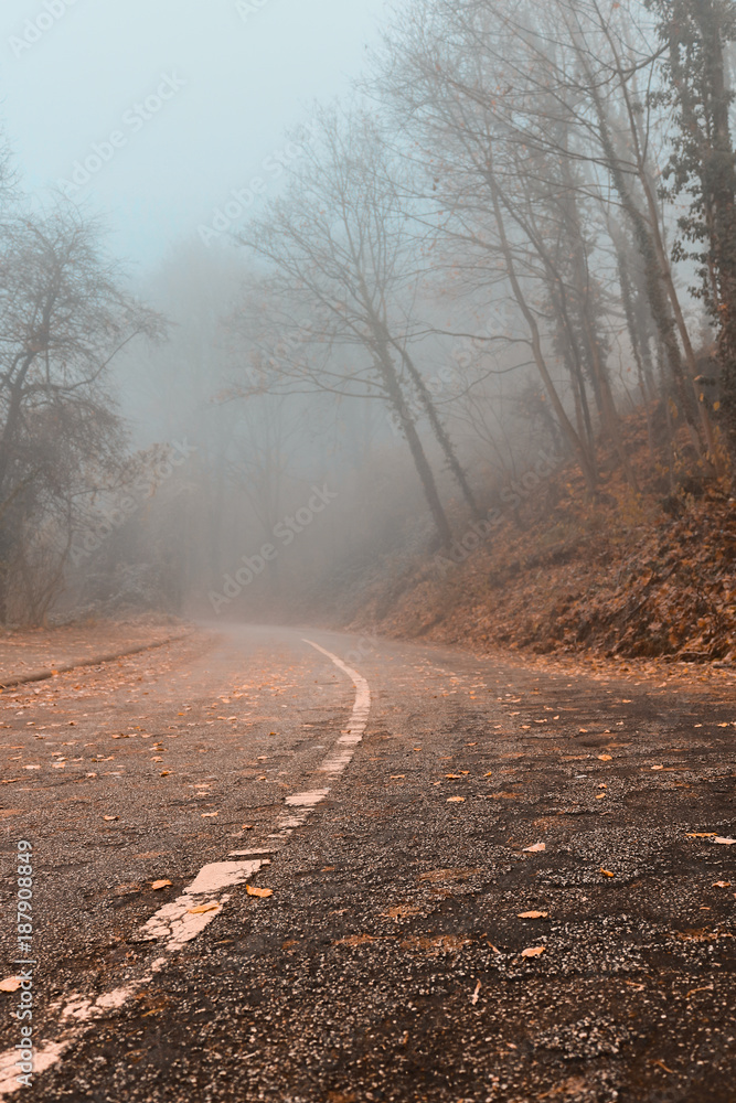 Camino otoño con neblina