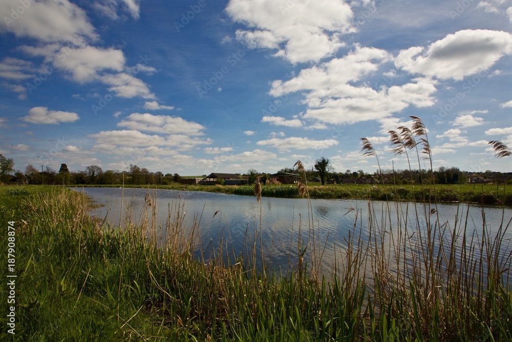 River Waveney, Wainford, Bungay, Suffolk. England River Waveney, Wainford, Bungay, Suffolk. England