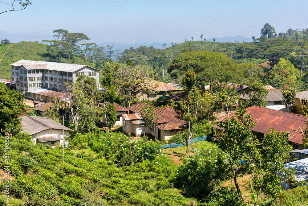Village and tea factory in the highlands of Sri Lanka. Tea production is on of the main economic sources of the country. Sri Lanka is the worlds fourth-largest producer of tea