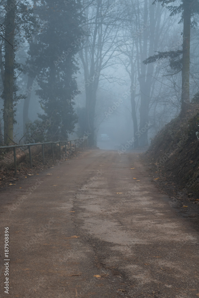 Fototapeta premium Camino otoñal al amanecer