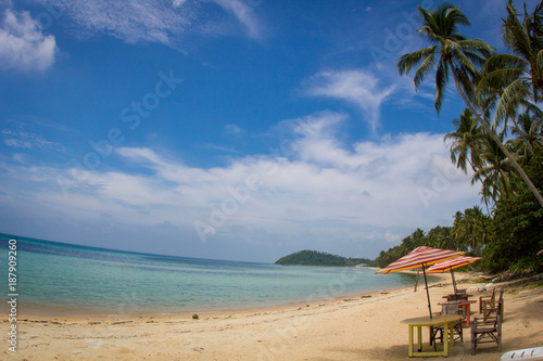 Tropical sand beach with coconut trees at the morning. Thailand  Samui island  Taling ngam