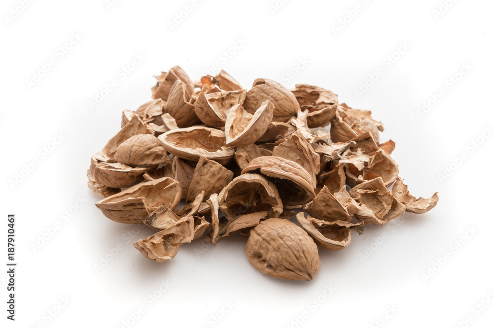 Pile of shells nutshells Pile of shells nutshells