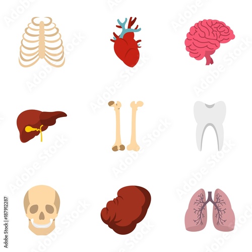 Human organs anatomy icons set, flat style