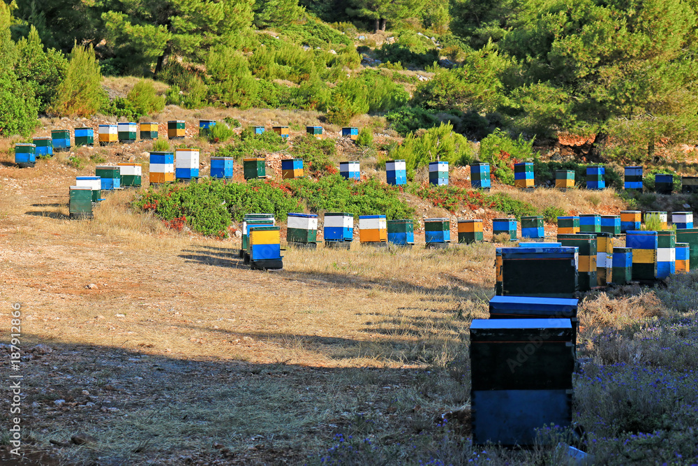 Beehives in a valley near the forest in Lefkada, Greece Beehives in a valley near the forest in Lefkada, Greece