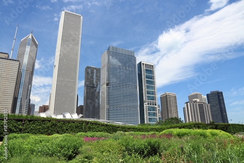 Chicago Lurie Garden photo