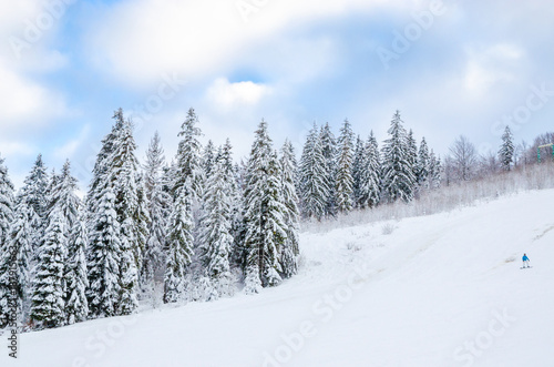 Beautiful winter landscape with snow on the trees © Olena Zn
