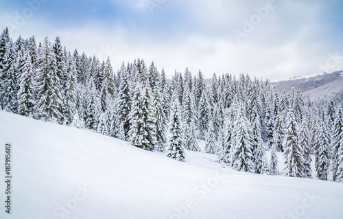 Beautiful winter landscape with snow on the trees