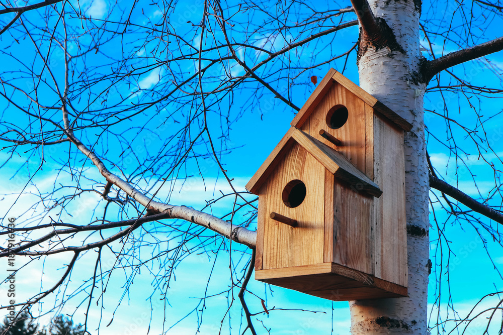 Birdhouse on birch tree, blue sky background. Nesting box on a tree in a park, spring.