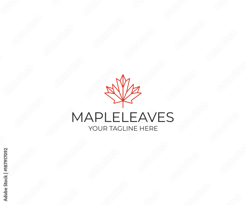 Line maple leaf logo template. Geometric autumn leaf vector design. Plant illustration