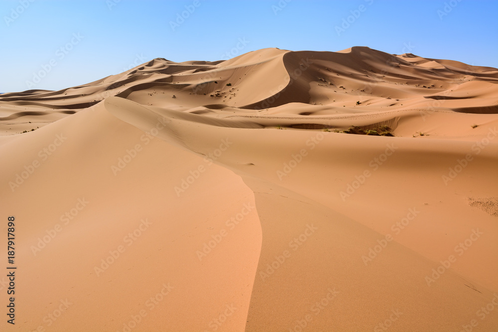 Fototapeta Sahara Desert, Erg Chebi dunes. Merzouga, Morocco